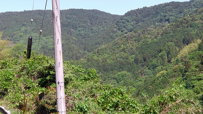 IMGA0202.2018.5.24.jpg