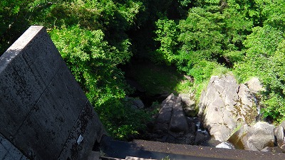 IMGA0205.2018.5.24.jpg