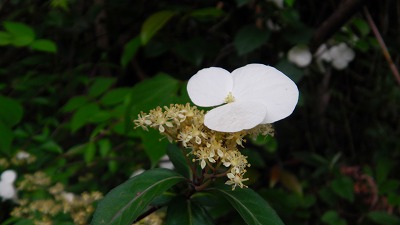IMGA0278.2018.5.25.jpg