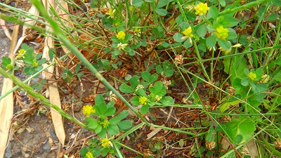 IMGA0282.2018.5.25.jpg