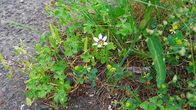 IMGA0292.2018.5.25.jpg