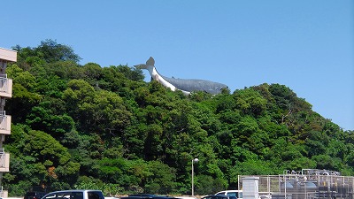 IMGA0301.2018.6.4.jpg
