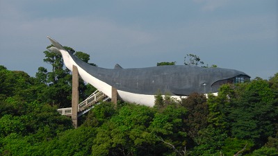 IMGA0338.2018.6.4.jpg