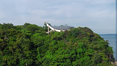 IMGA0339.2018.6.4.jpg