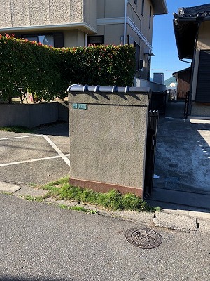 IMG_0523.2018.6.12.jpg