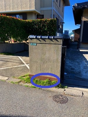 IMG_0523.2018.6.12.jpg