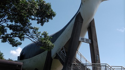IMGA0080.2018.6.13.jpg