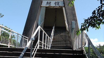 IMGA0081.2018.6.13.jpg