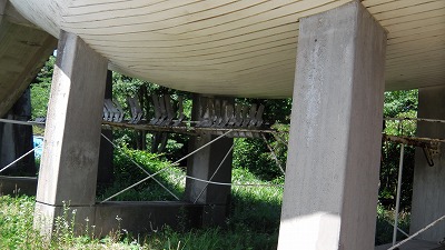 IMGA0082.jpg