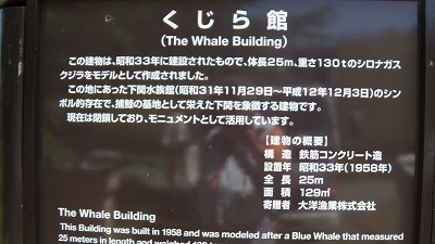 IMGA0084.2018.6.13.jpg