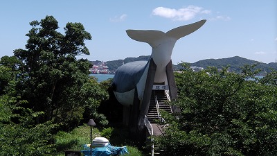 IMGA0085.2018.6.13.jpg