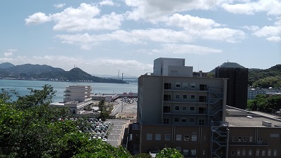 IMGA0086.2018.6.13.jpg