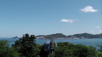 IMGA0087.2018.6.13.jpg