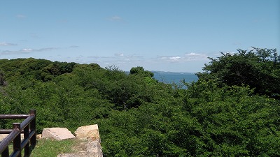 IMGA0088.2018.6.13.jpg