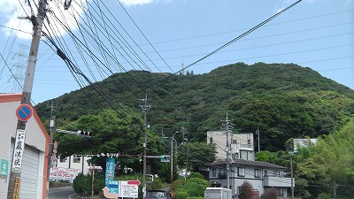 IMGA0053.2018.6.12.jpg
