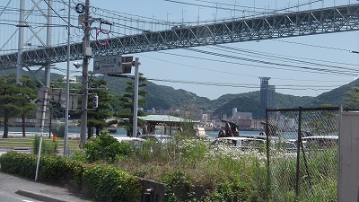 IMGA0062.2018.6.13.jpg