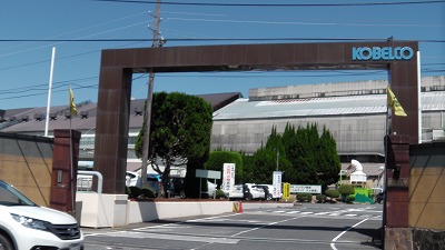 IMGA0093.2018.6.13.jpg