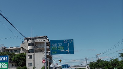 IMGA0095.2018.6.13.jpg