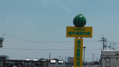 IMGA0171.2018.6.24.jpg