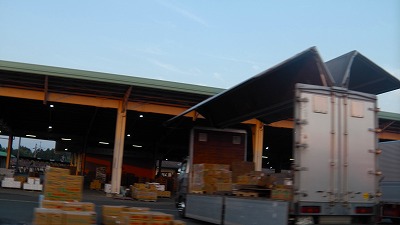 IMGA0202.2018.6.24.jpg