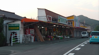 IMGA0203.2018.6.24.jpg