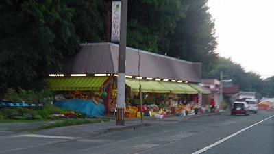 IMGA0207.2018.6.24.jpg