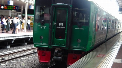 IMGA0242みどり.2018.6.26.jpg