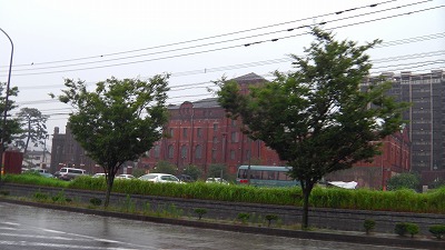 IMGA0309.2018.7.6.jpg