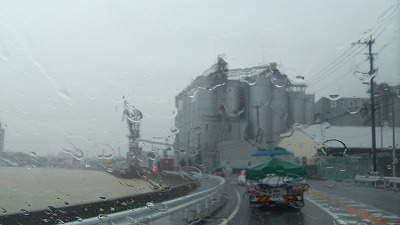 IMGA0316.2018.7.6.jpg