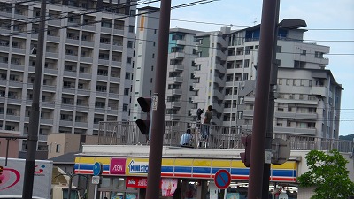 IMGA0378.2018.7.9.jpg