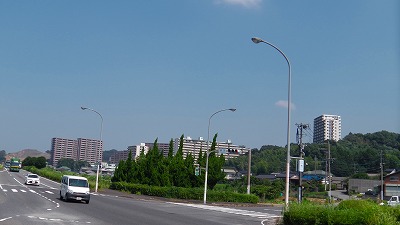 IMGA0610.jpg