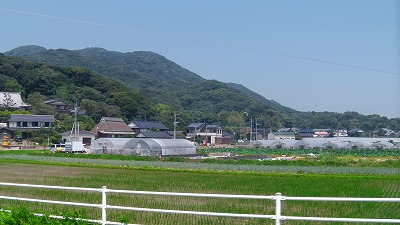 IMGA0669.jpg