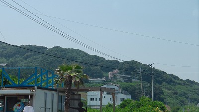 IMGA0675.jpg
