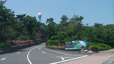IMGA0684.jpg