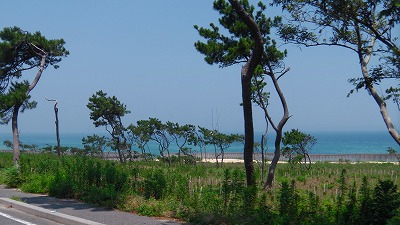IMGA0688.jpg