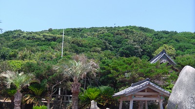 IMGA0695.jpg