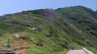 IMGA0703.jpg