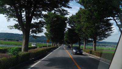 IMGA0793.jpg