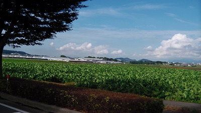 IMGA0794.jpg