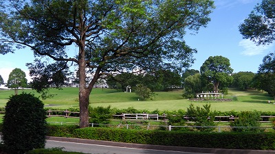 IMGA0800.jpg