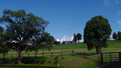 IMGA0802.jpg