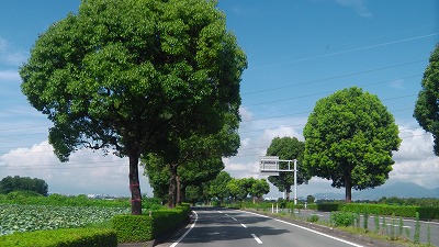 IMGA0803.jpg