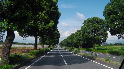 IMGA0805.jpg