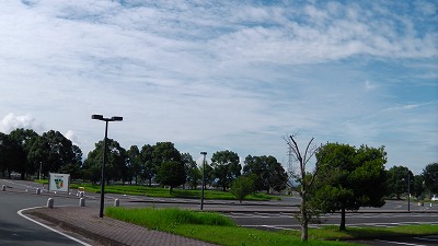 IMGA0807.jpg