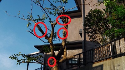 IMGA0819.2018.7.23.jpg