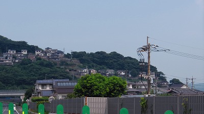 IMGA0855.jpg