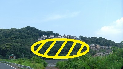 IMGA0856.jpg