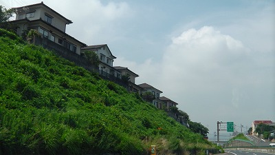 IMGA0858.jpg