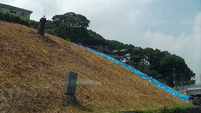 IMGA0860.jpg
