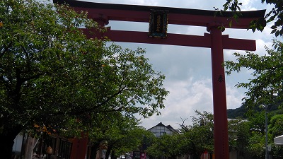 IMGA0978.jpg